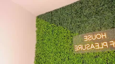 A B B Y online show from 8, 3, 2025