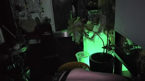 abracadanny777 online show from 23, 3, 2026