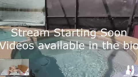 Adam And Eve online show from 2, 3, 2025