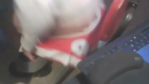 adamsny online show from 20, 1, 2025