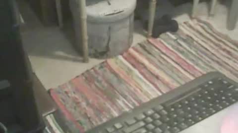 adamsny online show from 9, 11, 2025