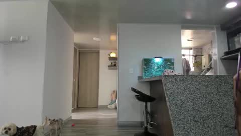 Snapshot of adan_eva960 chatting on 27, 2, 2026 eva online show from 27, 2, 2026