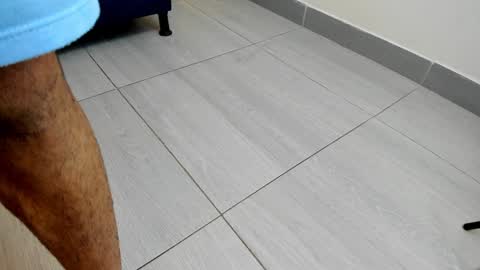 adbel sady online show from 24, 12, 2024