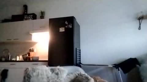 I love a little angel online show from 28, 11, 2025