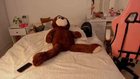 Kattt online show from 11, 4, 2026