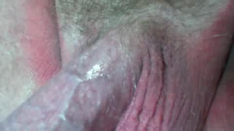 This is a temp room please follow excelsior62 by clicking the link below online show from 23, 12, 2024