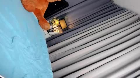 Adriana online show from 4, 3, 2025