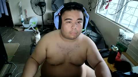 AFilamBear online show from 1, 8, 2026
