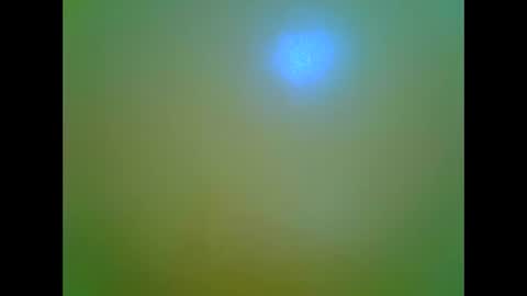 afrikana005 online show from 5, 4, 2026