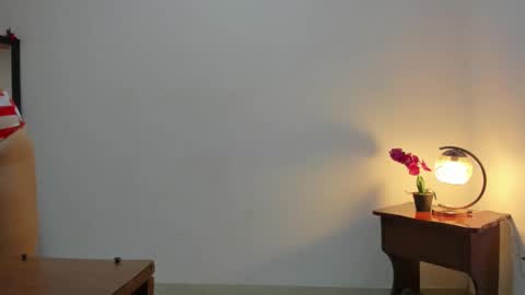 Snapshot of afrodita3123 chatting on 4, 3, 2025 Lorena online show from 4, 3, 2025