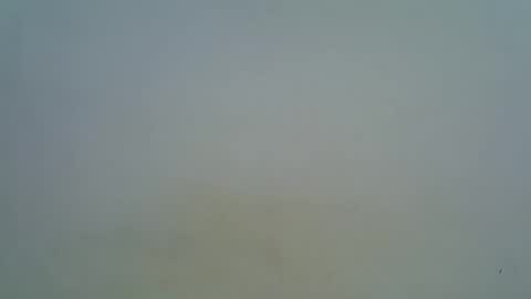 afronubians online show from 5, 3, 2025