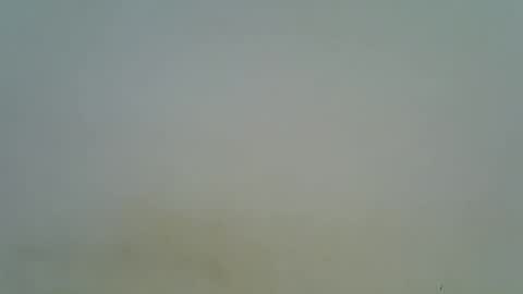 afronubians online show from 6, 3, 2025