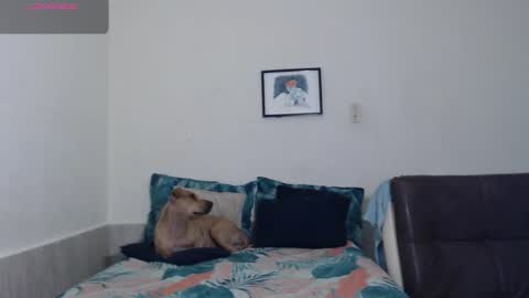 Agatha online show from 18, 3, 2026