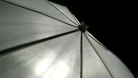 CAROLINA online show from 12, 4, 2026