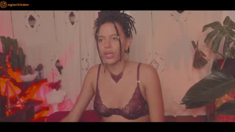 agnetism online show from 26, 12, 2024