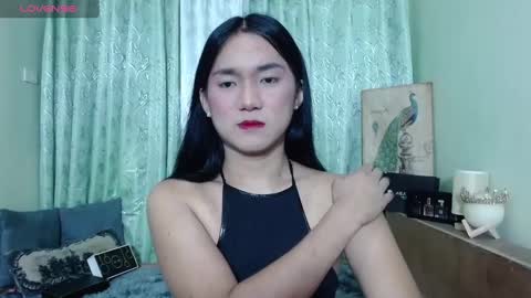 Ahmri online show from 13, 1, 2025