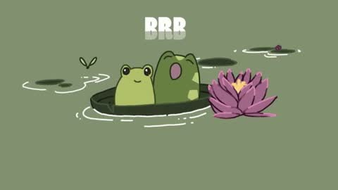 Catalina online show from 26, 2, 2025