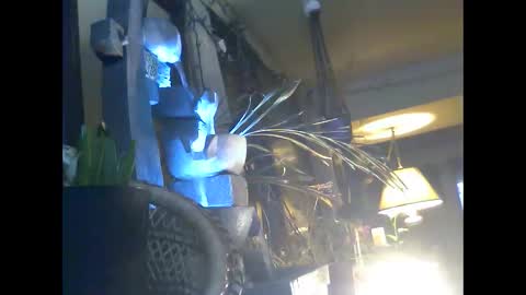 Snapshot of ajstevens326 chatting on 3, 11, 2025 ajstevens326 online show from 3, 11, 2025