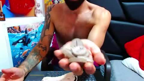akiles online show from 11, 6, 2026