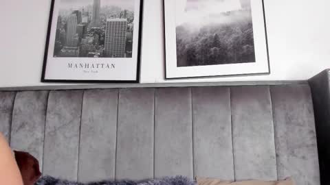 Alaia Carter online show from 26, 2, 2026