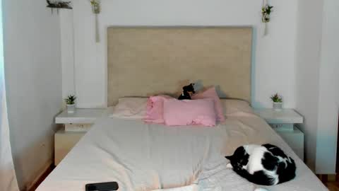             online show from 20, 3, 2026