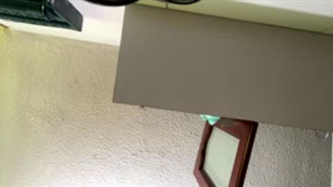 isabella online show from 26, 2, 2026