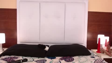 alana online show from 25, 10, 2025