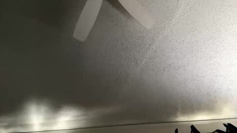 Dinky online show from 7, 1, 2026