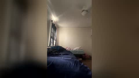 Dinky online show from 26, 4, 2026