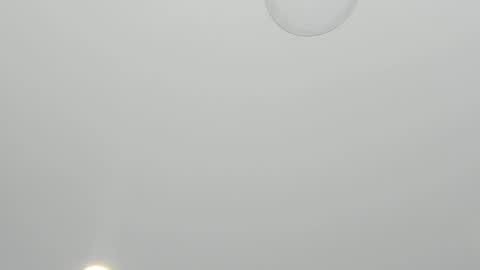 Alanna  online show from 23, 3, 2026