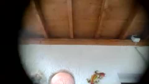 Snapshot of alebrusa chatting on 16, 7, 2026 Alebrusa online show from 16, 7, 2026