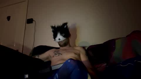 alex_essex69 online show from 26, 2, 2026