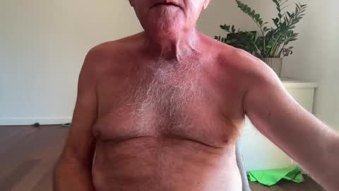Snapshot of alex_fetishplayer chatting on 20, 7, 2026 Alex online show from 20, 7, 2026