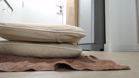 Nicha online show from 18, 10, 2025