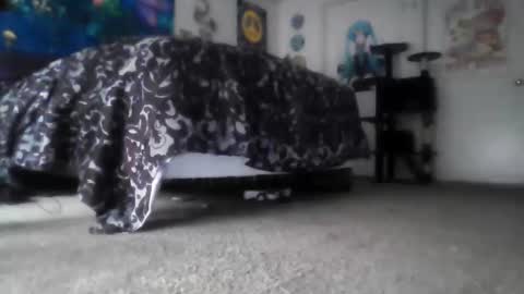 Snapshot of alexvines chatting on 14, 3, 2026 Alex Vines online show from 14, 3, 2026