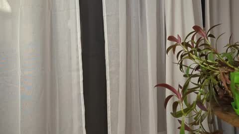 Snapshot of ali500886 chatting on 30, 3, 2026 ali500886 online show from 30, 3, 2026