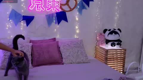 Snapshot of alice_charmy chatting on 29, 9, 2025 Alice in Wonderland online show from 29, 9, 2025