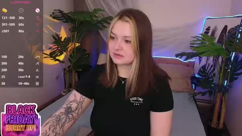 Alice  online show from 23, 11, 2025