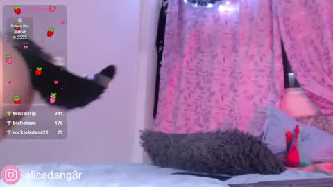 Alice  online show from 15, 12, 2024