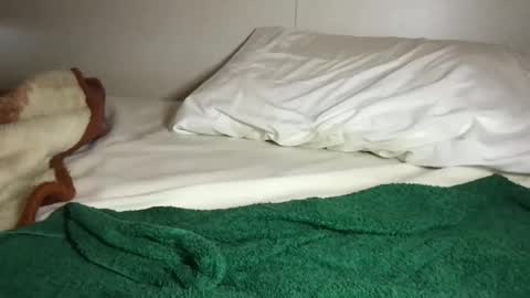 Ali Roxy online show from 16, 10, 2025