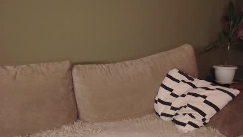 alisaxxxshy online show from 3, 2, 2026