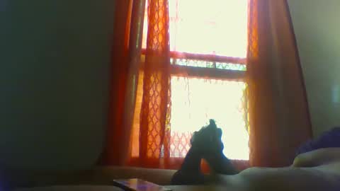 allbermy online show from 26, 9, 2025