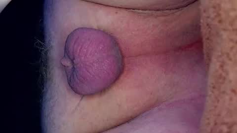 Growing Wiener online show from 27, 3, 2026