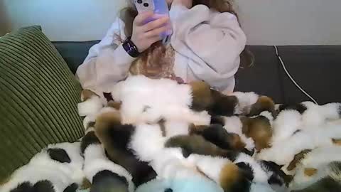 alliebearx online show from 18, 4, 2026