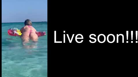 Snapshot of alliesynns chatting on 17, 12, 2025 Allie online show from 17, 12, 2025