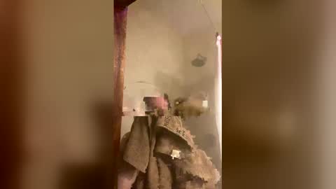 allisonlove2 online show from 9, 4, 2026