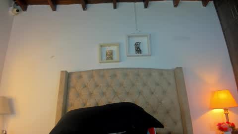 allisson online show from 26, 2, 2026