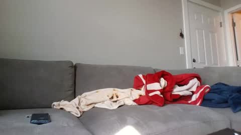 allylove2626 online show from 9, 9, 2025