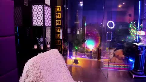 Snapshot of alma_pearl chatting on 17, 5, 2026 Alma online show from 17, 5, 2026
