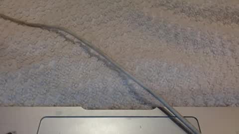 ALongwhitedick online show from 12, 3, 2025